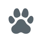 Gemini_Generated_Image_vbx2szvbx2szvbx2-removebg-preview